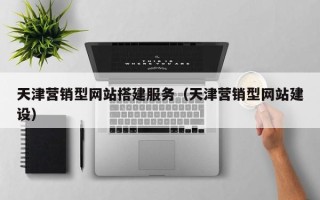 玉林天津营销型网站搭建服务（天津营销型网站建设）